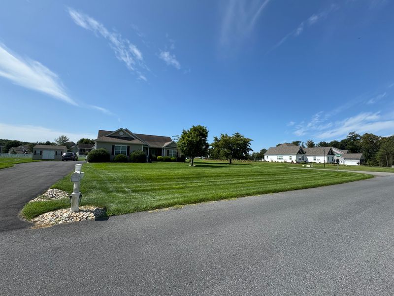 Lawn Mowing & Maintenance