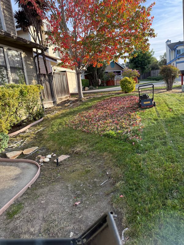 Landscaping