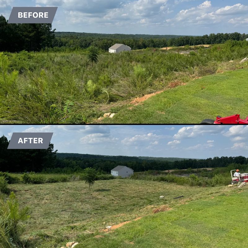 Before and After