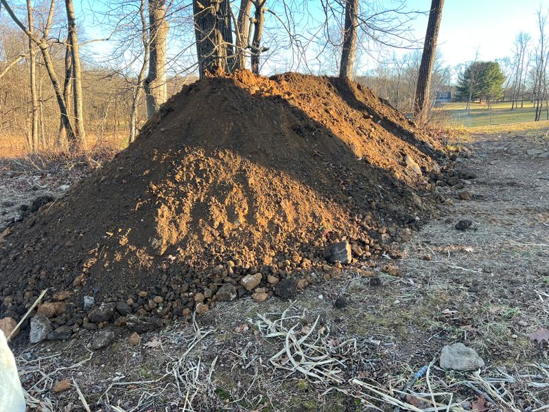 Land Clearing