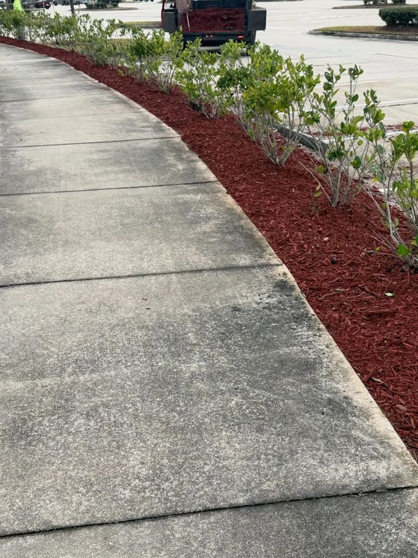 Shrub Trimming