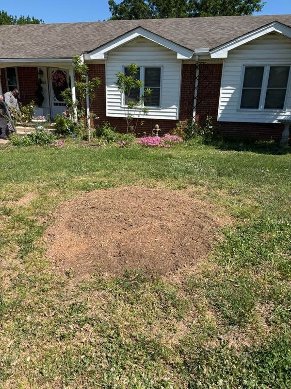 Stump Removal