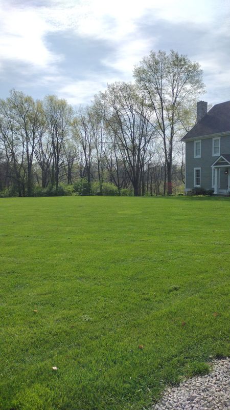 Aeration and Overseeding
