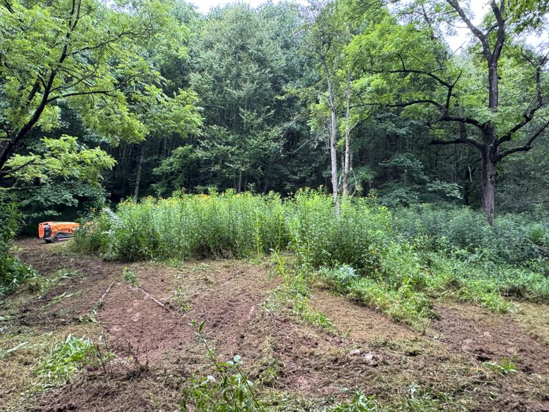 Reclaim Land
