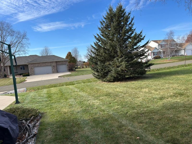 Lawn Maintenance