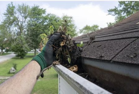 Gutter Cleaning