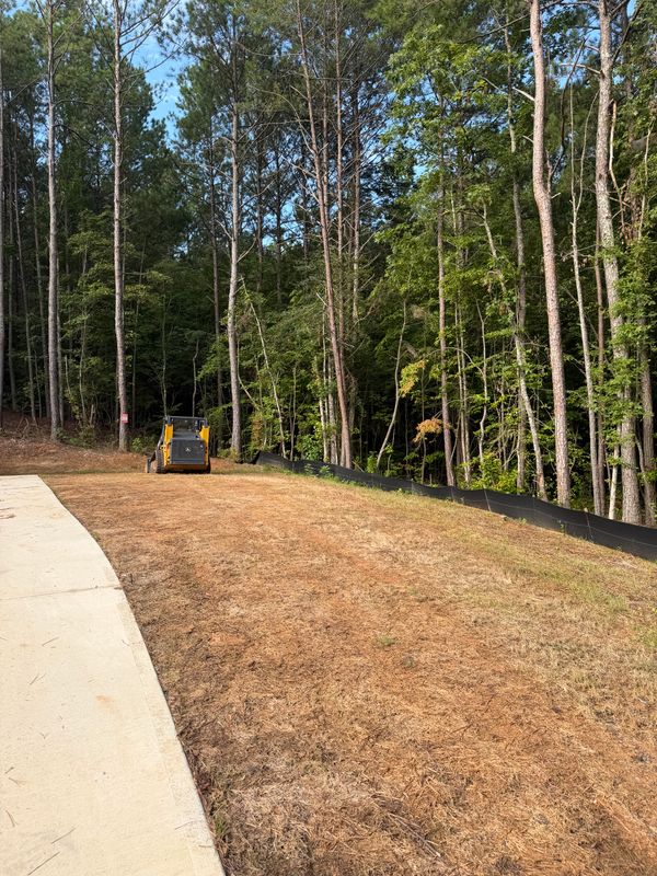 Land Clearing
