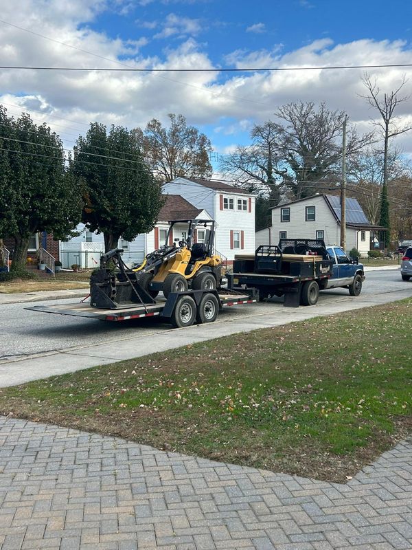 Stump Removal
