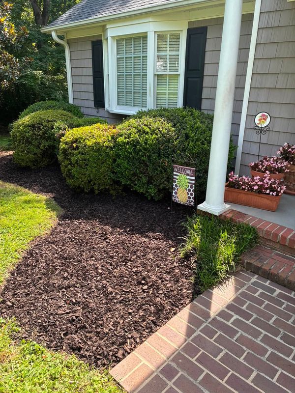 Tree & Shrub Care