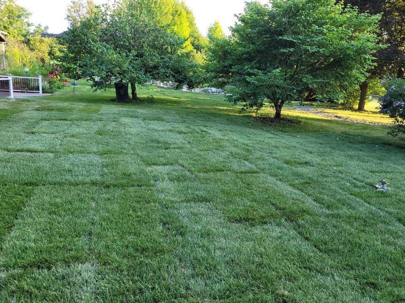 Lawn Care