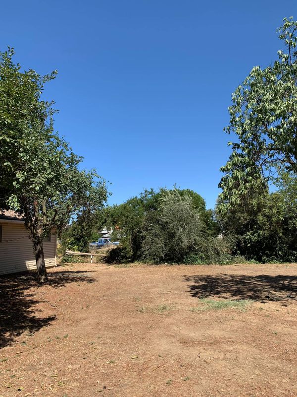 Tree Removal gallery