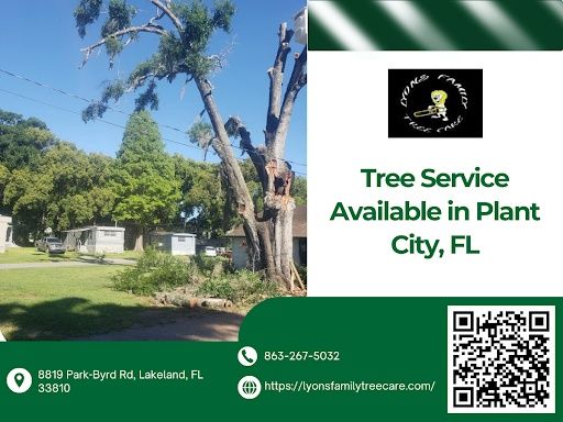 Tree Removal