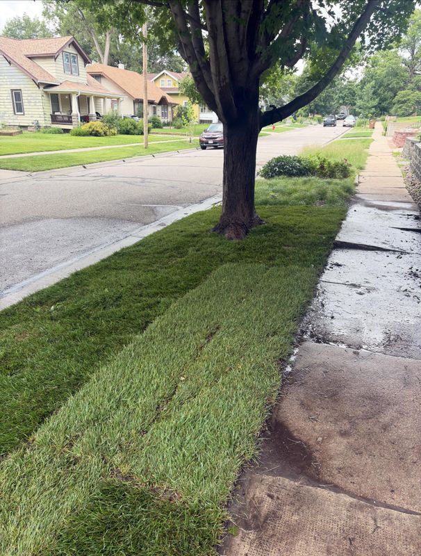 Lawn Maintenance