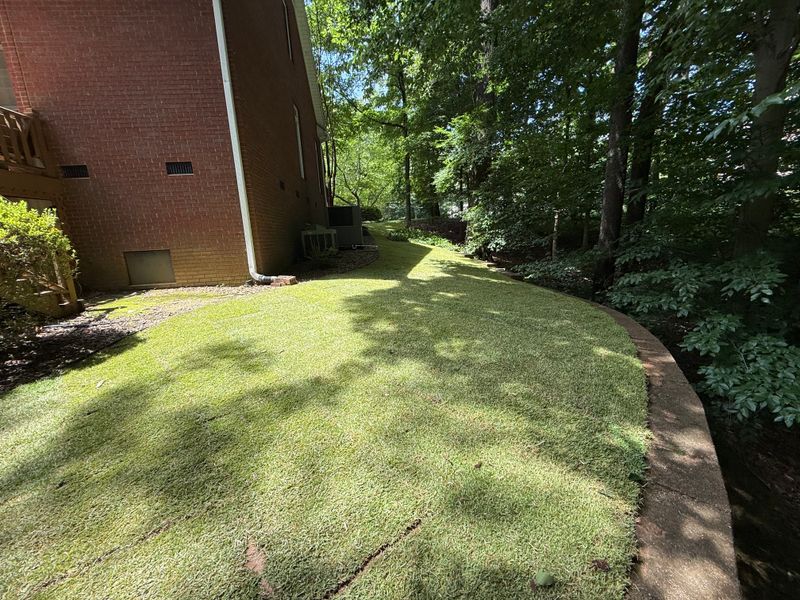 Lawn Maintenance