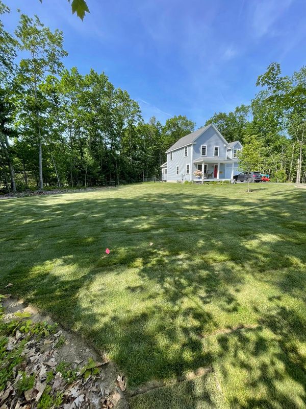 Lawn Maintenance