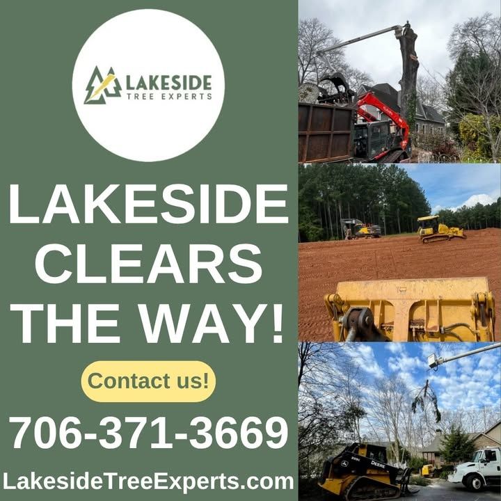Tree Trimming