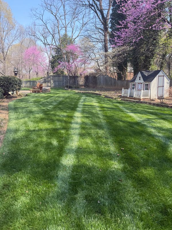 Lawn Mowing