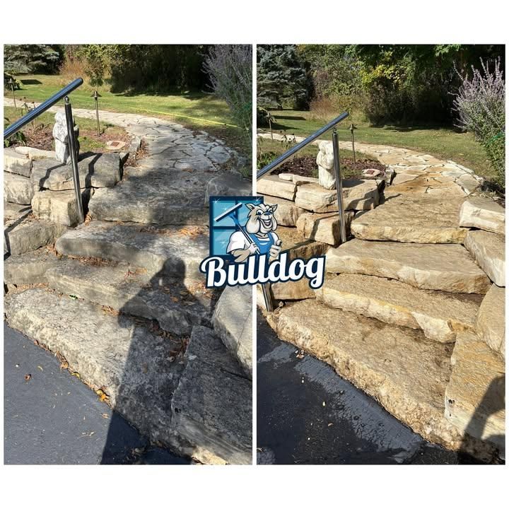 Pressure Washing/House Washing