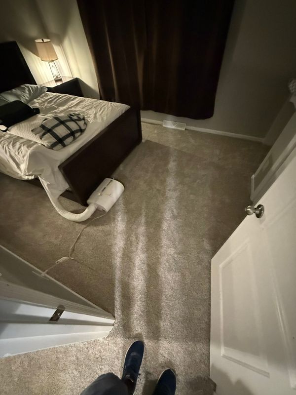Carpet Installation and Replacement