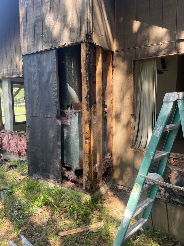Termite Repairs