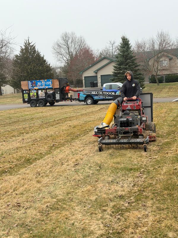 Dethatching