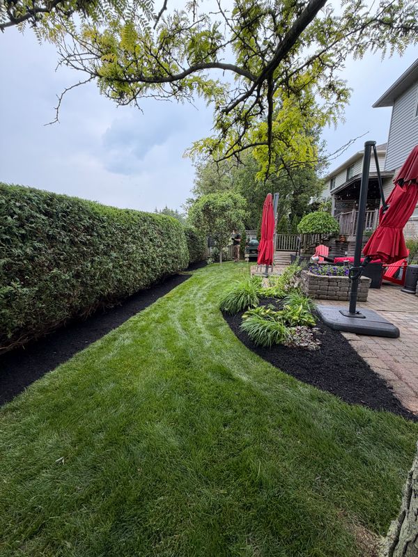 Landscaping
