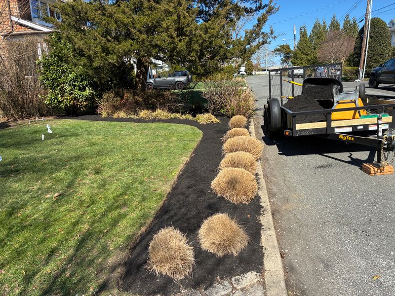 Lawn Maintenance