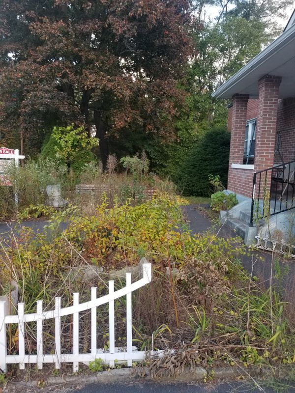 Spring & Fall Cleanups