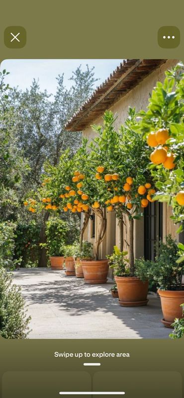 Fruit Load Management