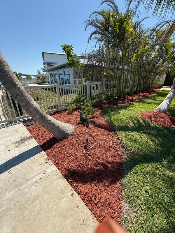 Shrub Trimming