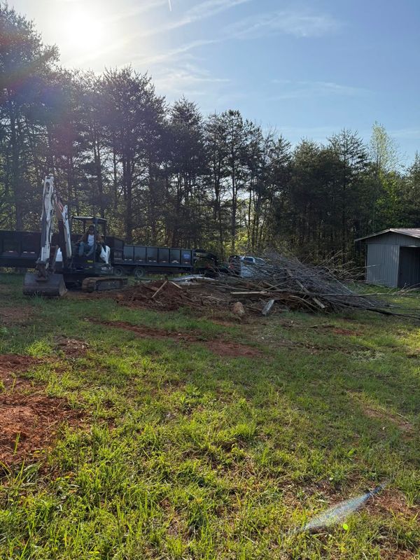 Tree Removal gallery
