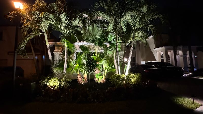 Landscape Lighting 
