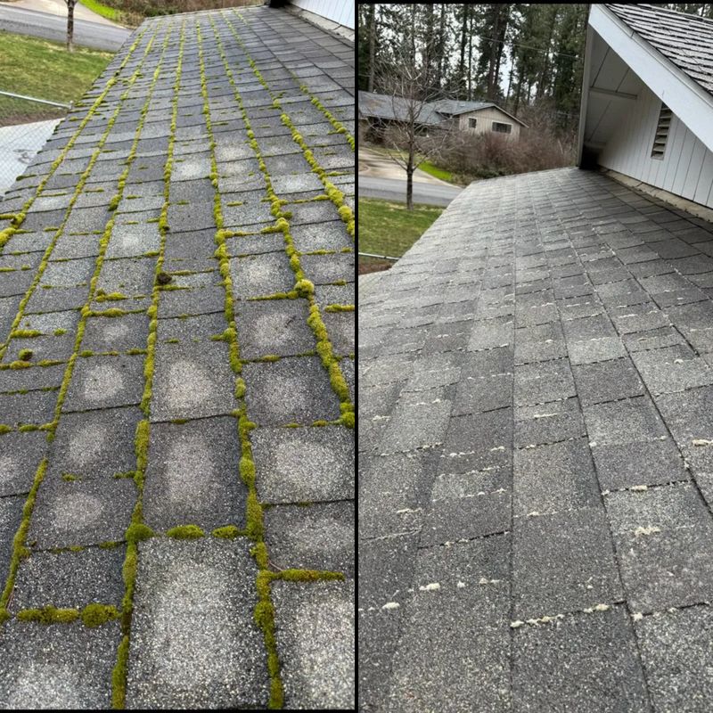 Moss Removal