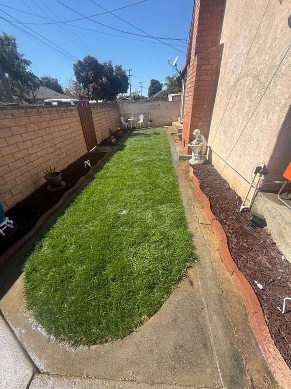 Landscaping