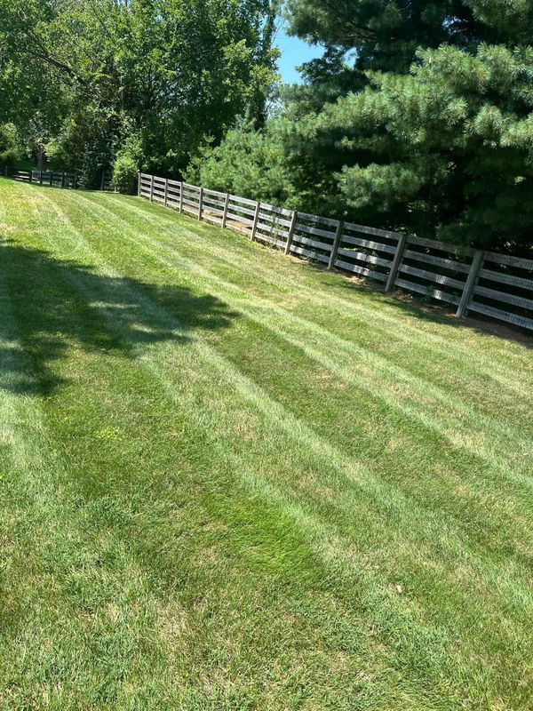 Lawn Maintenance