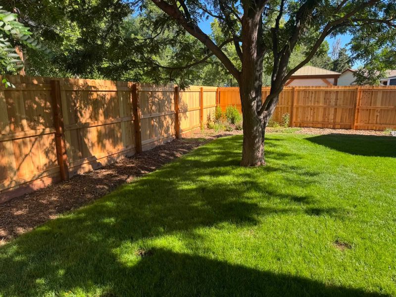 Fence Installation