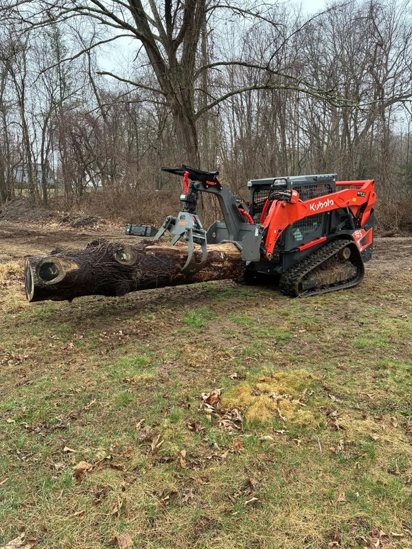 Tree Removal