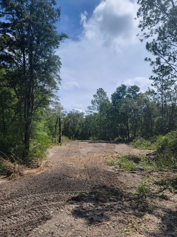 Land Clearing gallery