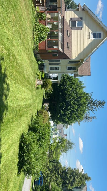 Lawn Maintenance