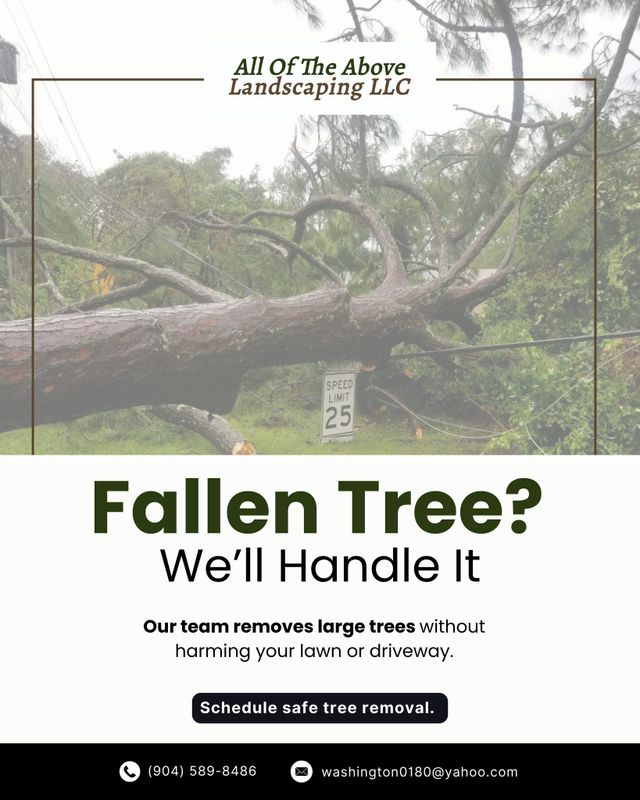 Tree Trimming & Removal