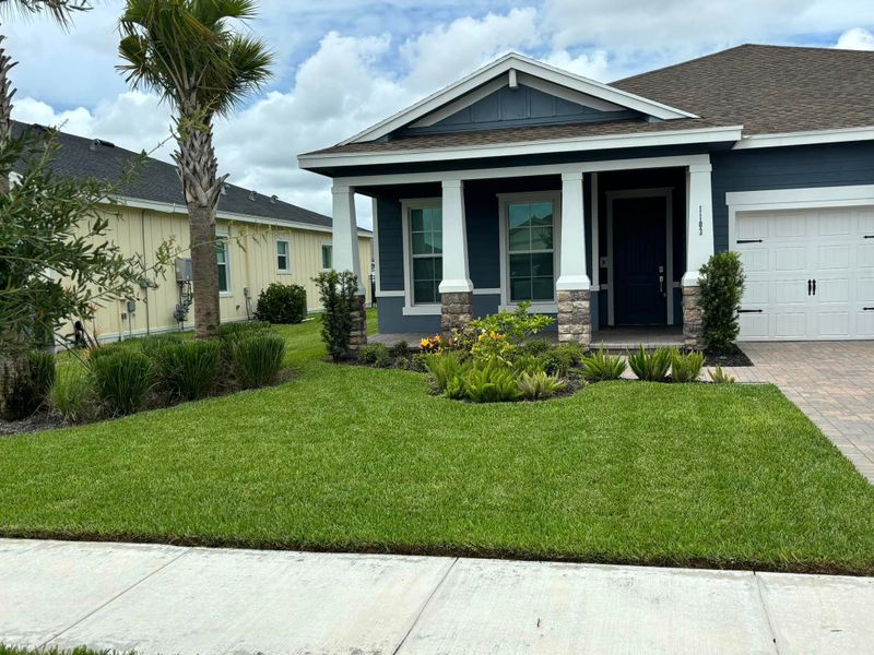 Lawn Care