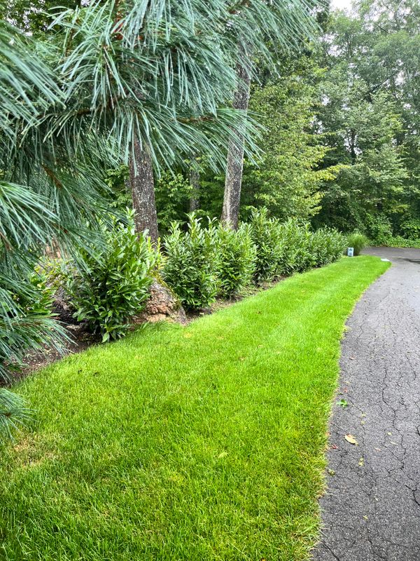 Landscaping