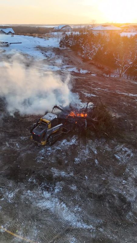 Tree Removal