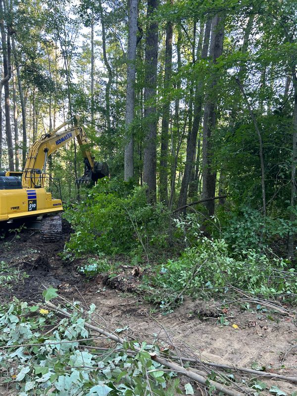 Land Clearing