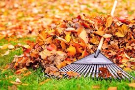 Fall/Spring Clean Up