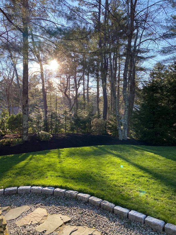 Lawn Maintenance