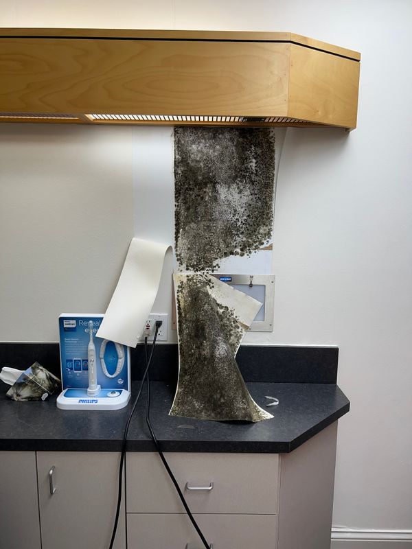 Mold Remediation