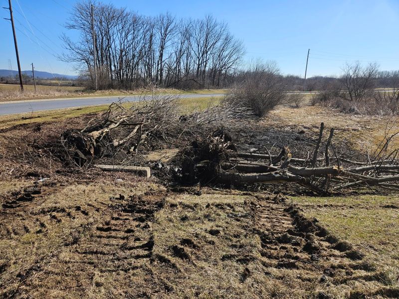 Land Clearing and Site Preparation