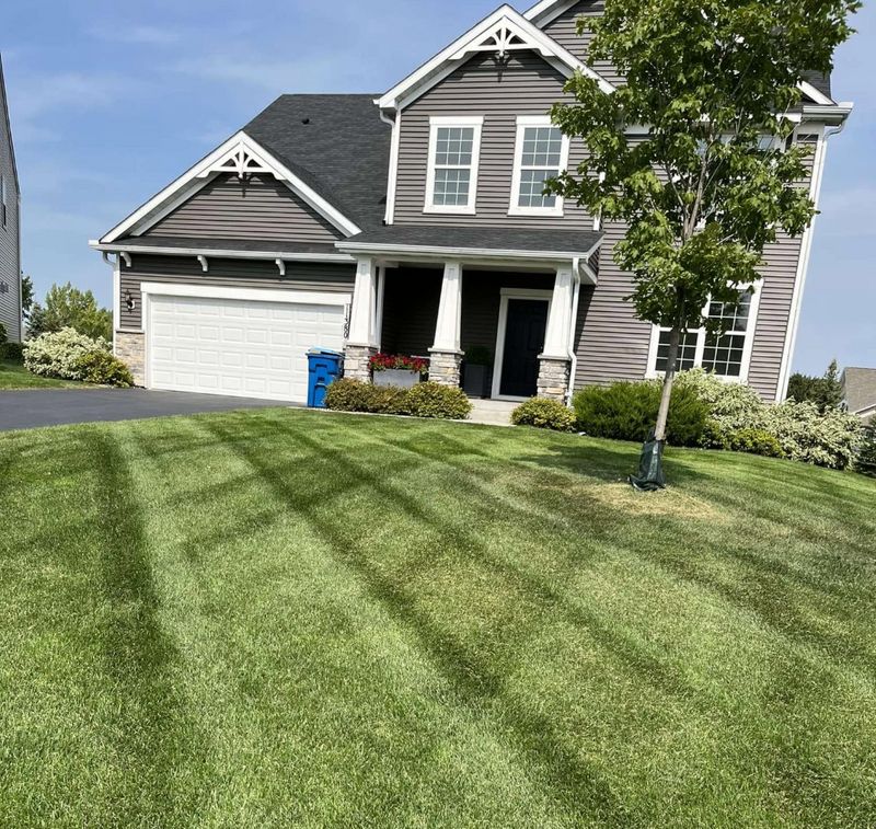 Lawn Care & Maintenance
