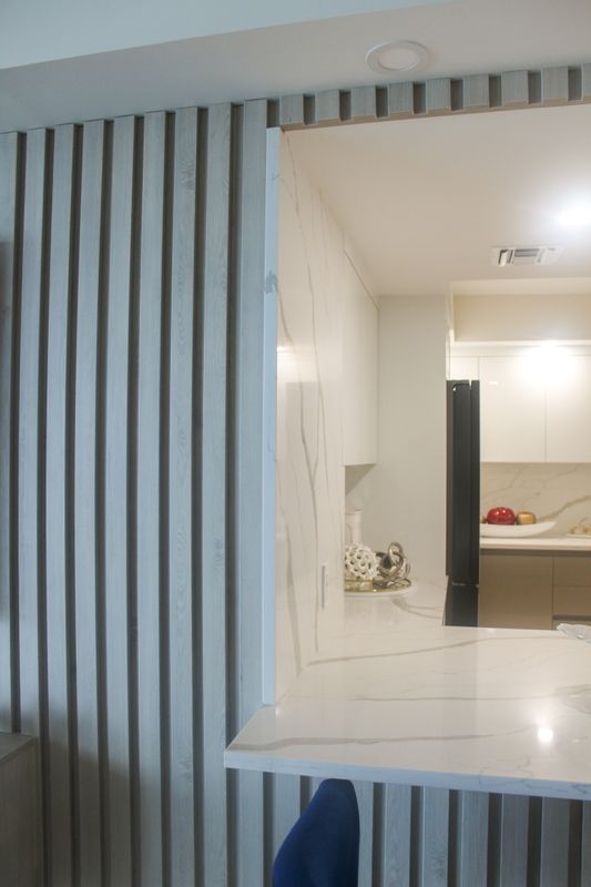 Condo Renovations